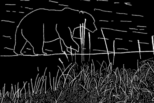 The Immensity of the Search – Case Study